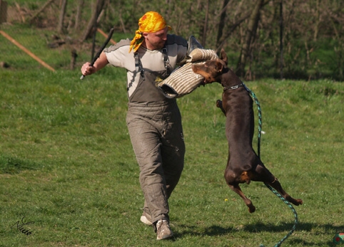 Chocolade Lehmannsfelsen - training 4. 4. 2007